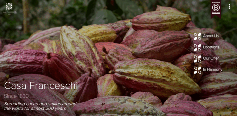 Casa Franceschi: Quality Cacao Sourcing with a Sustainable Approach