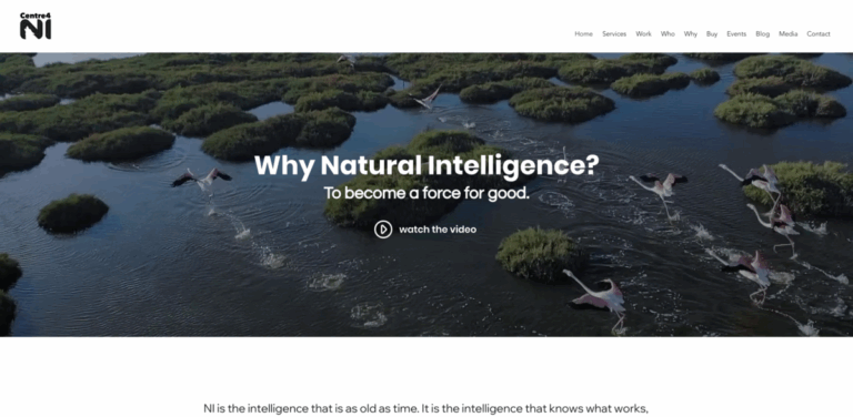 Centre4NI: Harnessing Natural Intelligence for Sustainable Business Practices