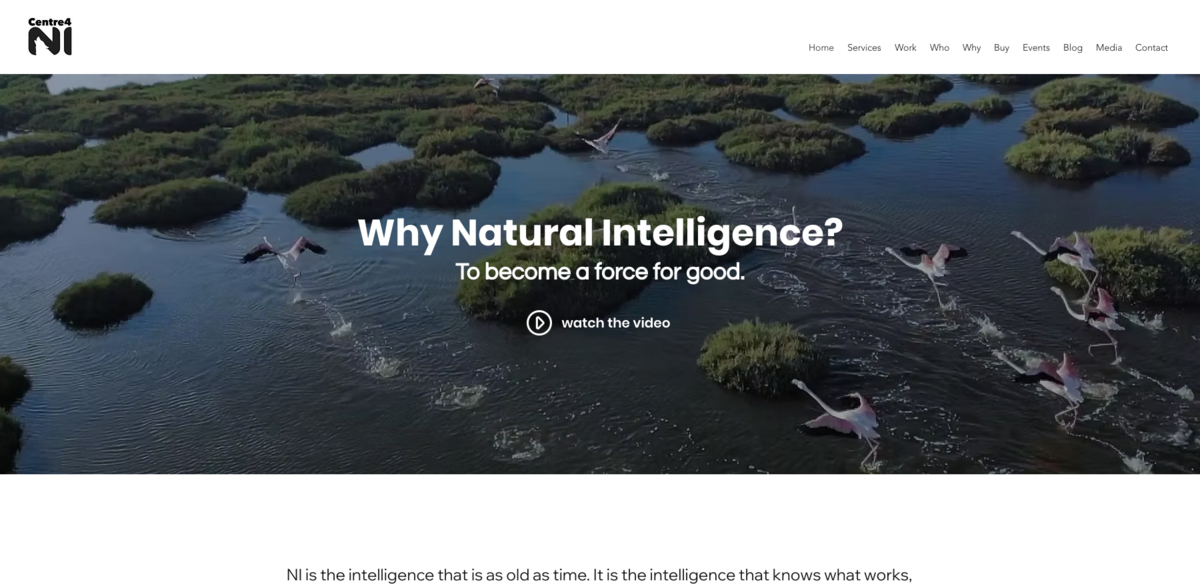 Natural Intelligence