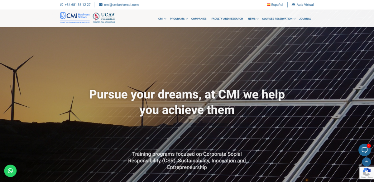 CMI Business School