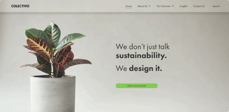 Colectivo: Empowering Organizations with Sustainable Growth Strategies