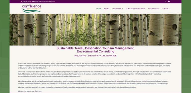 Confluence Sustainability: Uniting Professionals for Meaningful Change