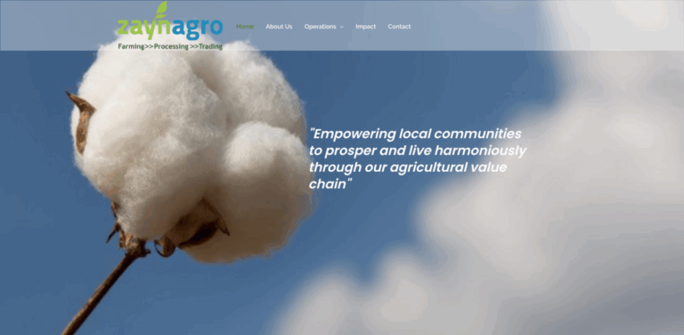 Cotton Africa: Empowering Communities Through Sustainable Agriculture