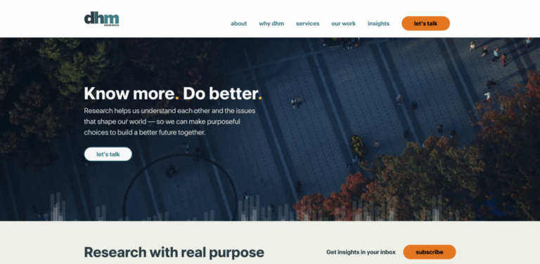 DHM Research: Understanding Public Opinion Through Insightful Research