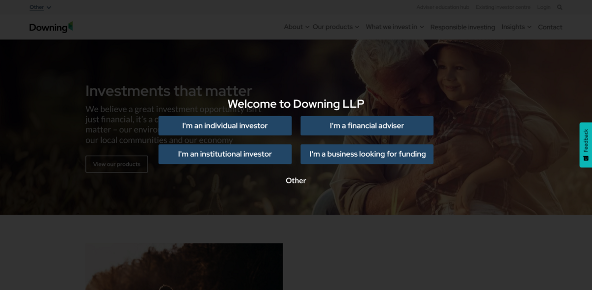 Downing LLP investment management