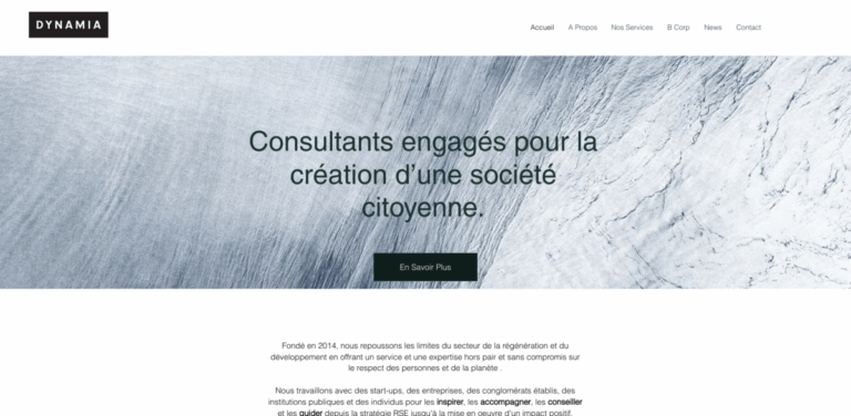 Dynamia: Empowering Sustainable Development and Social Justice in Mauritius