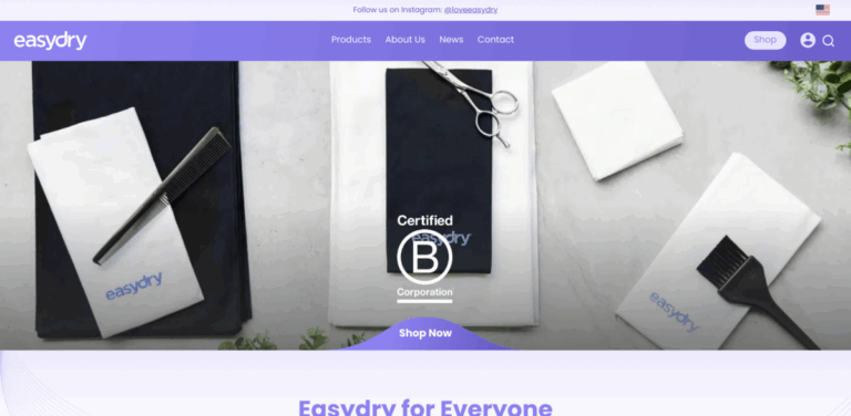 Easydry: Innovative Disposable Towels for Sustainable Businesses