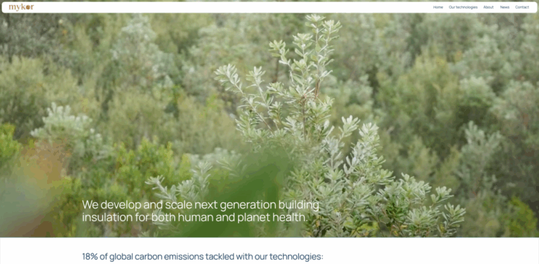 EcoInsulation: Developing Sustainable Building Insulation Solutions