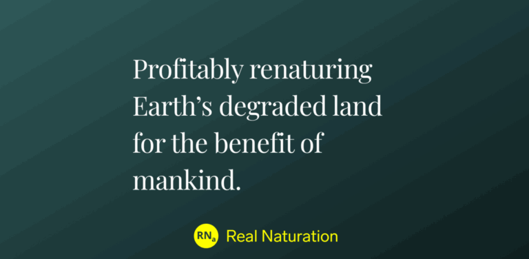 EcoLand Solutions: Restoring Degraded Lands for Sustainable Profit