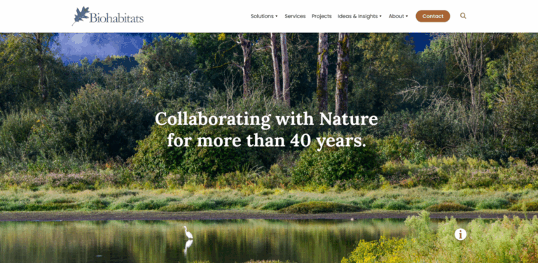 Fernhill Wetlands: Transforming Degraded Lands into Thriving Ecosystems