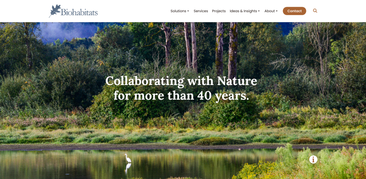 ecological restoration