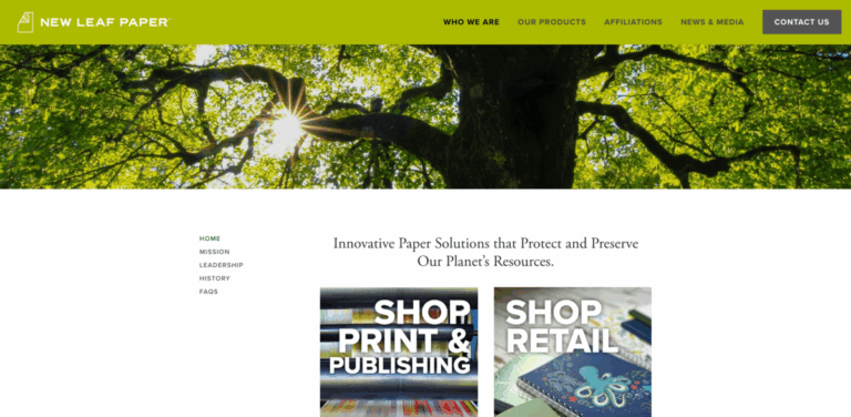 EcoPaper Solutions: Innovative Paper Products for a Sustainable Future