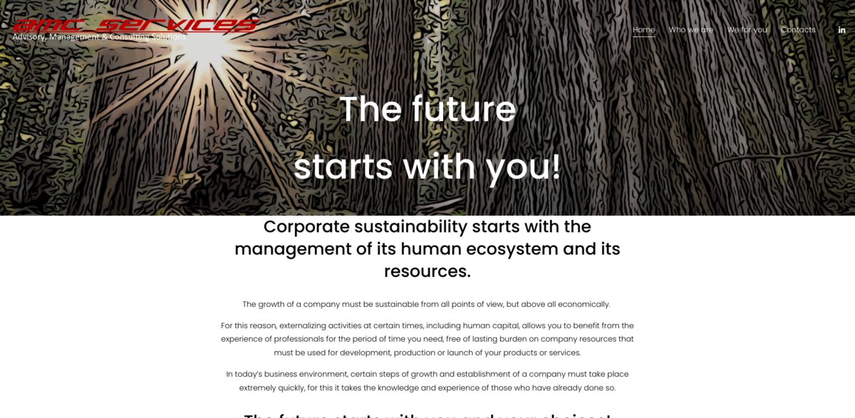 corporate sustainability
