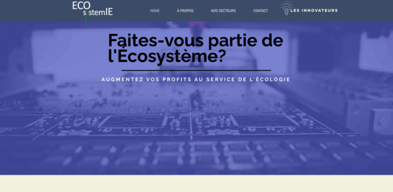ECOsystemIE: Tailored Sustainable Business Strategies for Profitability