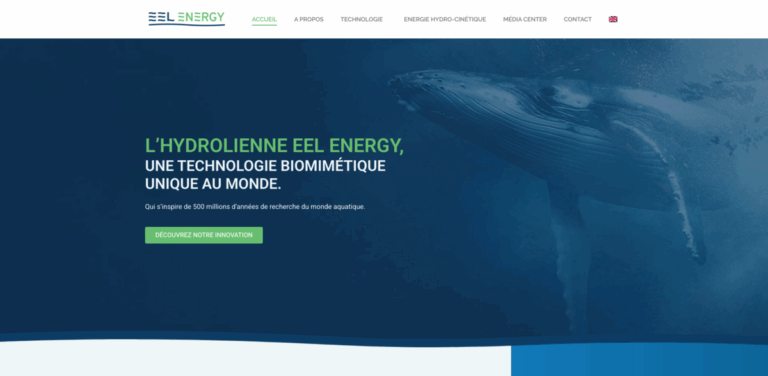 EEL Energy: Innovative Hydro Turbines for Clean Electricity Generation