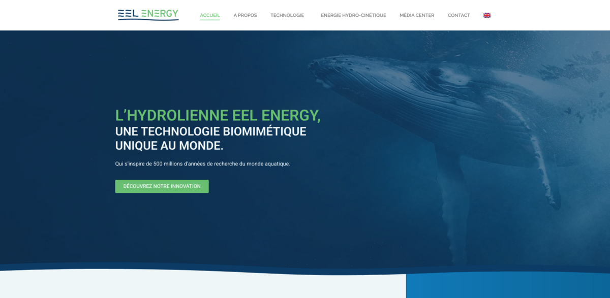 EEL Energy hydro turbine