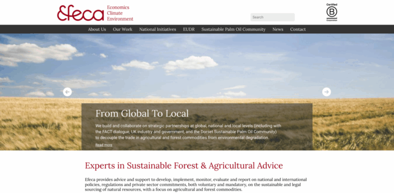 Efeca: Environmental Consultancy for Sustainable Commodity Sourcing