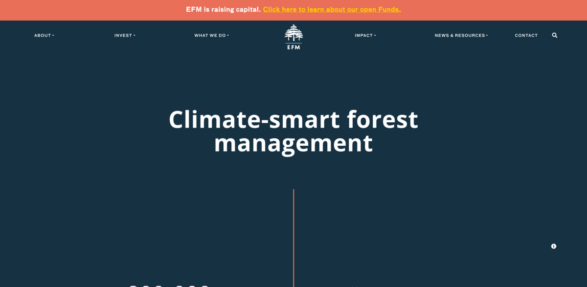 sustainable forest investment