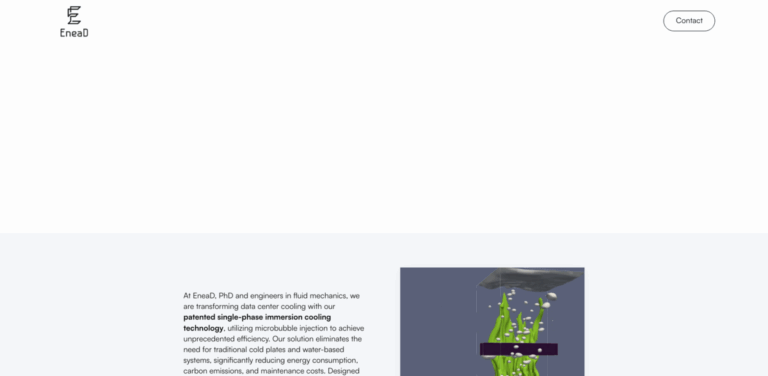 EneaD: Innovative Immersion Cooling Solutions for Data Centers