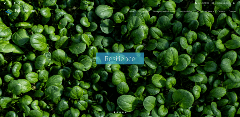 Equilibrium: Sustainable Asset Management for a Greener Future