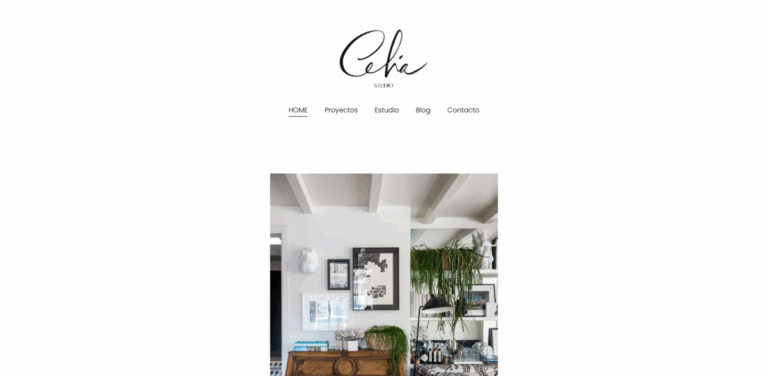 Estudio Celia Gómez-Puerta: Your All-in-One Creative Hub for Online Business