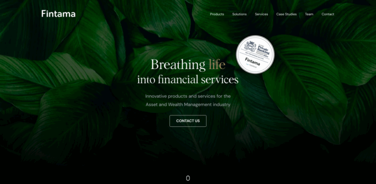 Fintama AG: Innovative Solutions for Wealth and Asset Management