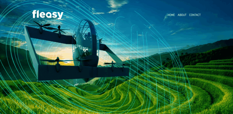 Fleasy: Transforming Air Mobility with Zero Emission Aircraft