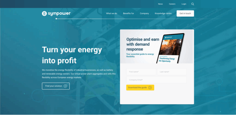 Flexibility Services Provider: Smart Energy Solutions for a Sustainable Future