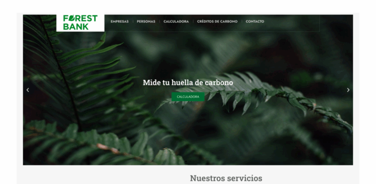 Forest Bank: Achieving Zero Emissions Through Carbon Offset and Reforestation