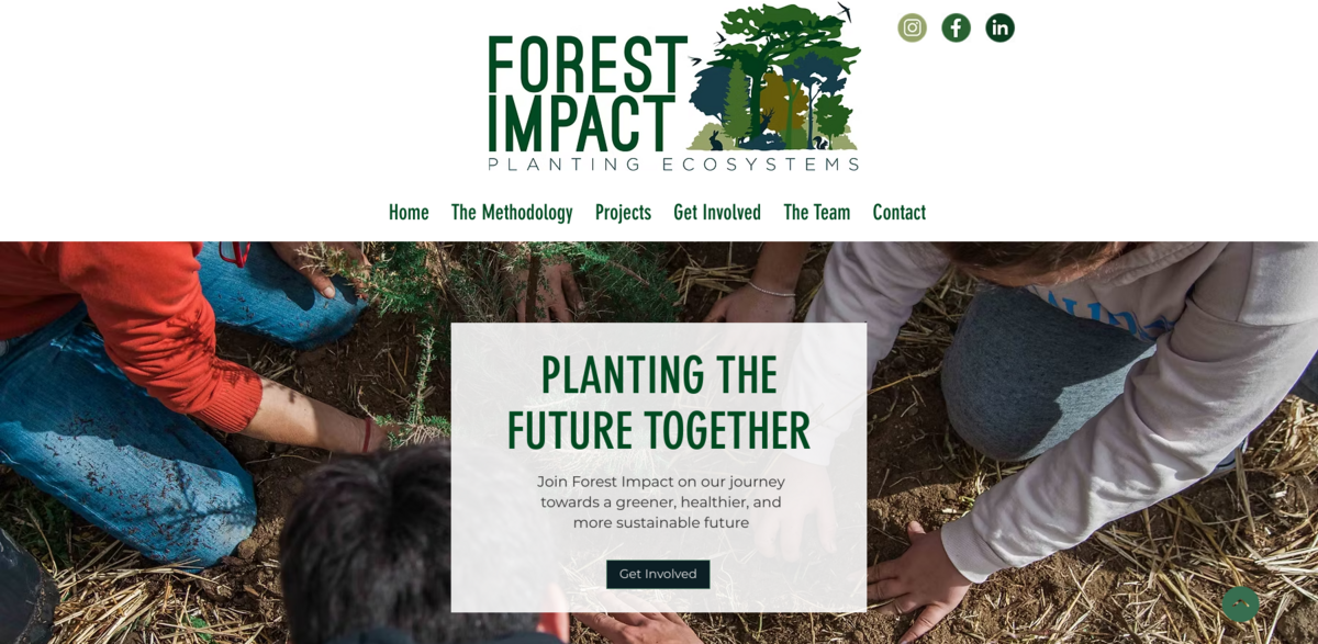 Forest Impact reforestation