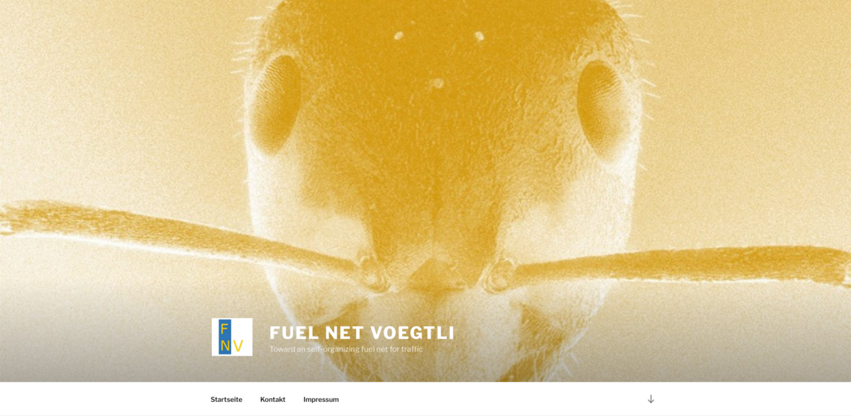 Fuel Net Voegtli