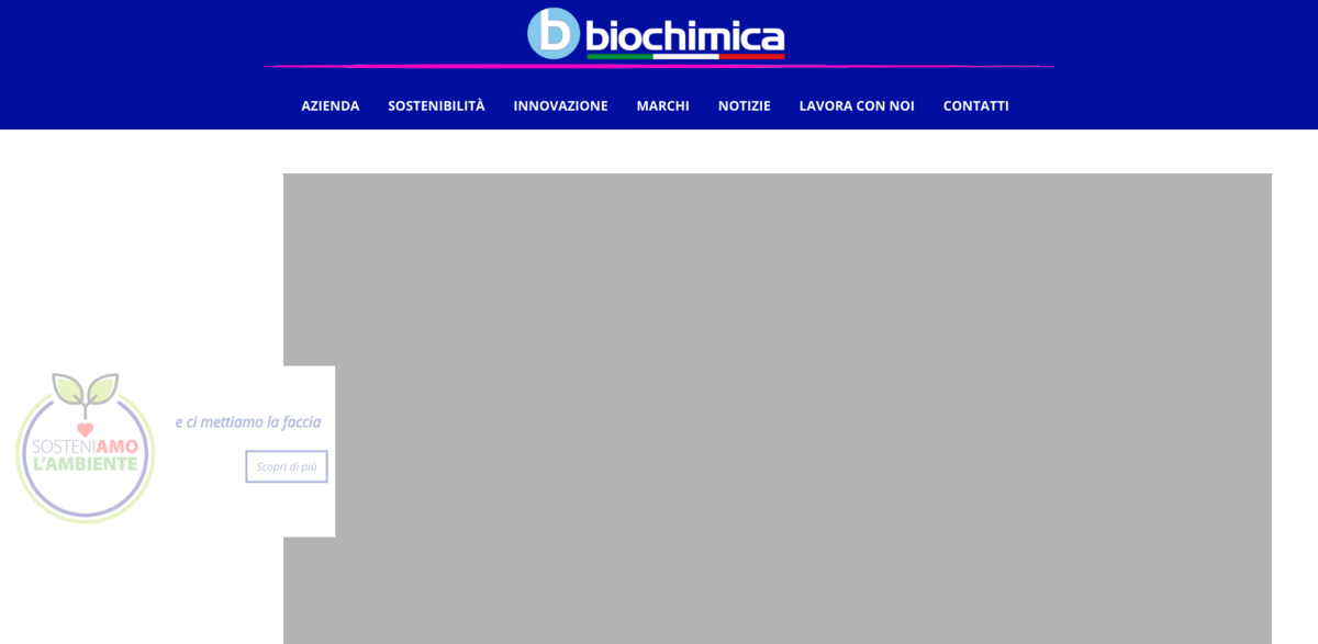 Italian laundry and cleaning company