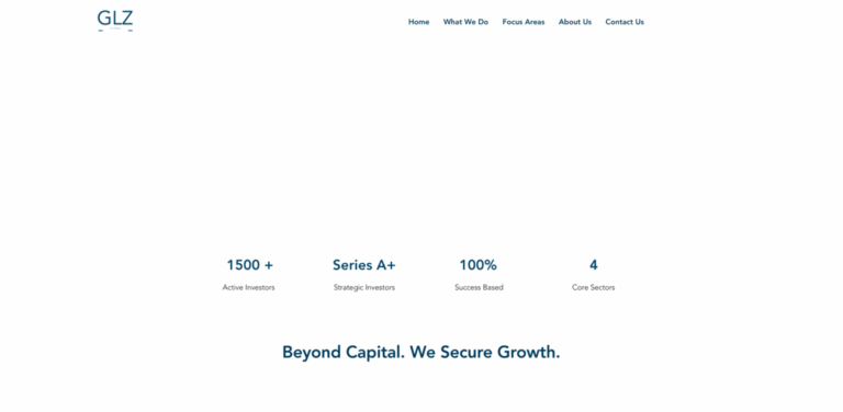 GLZ Global Consulting: Strategic Fundraising for Startups