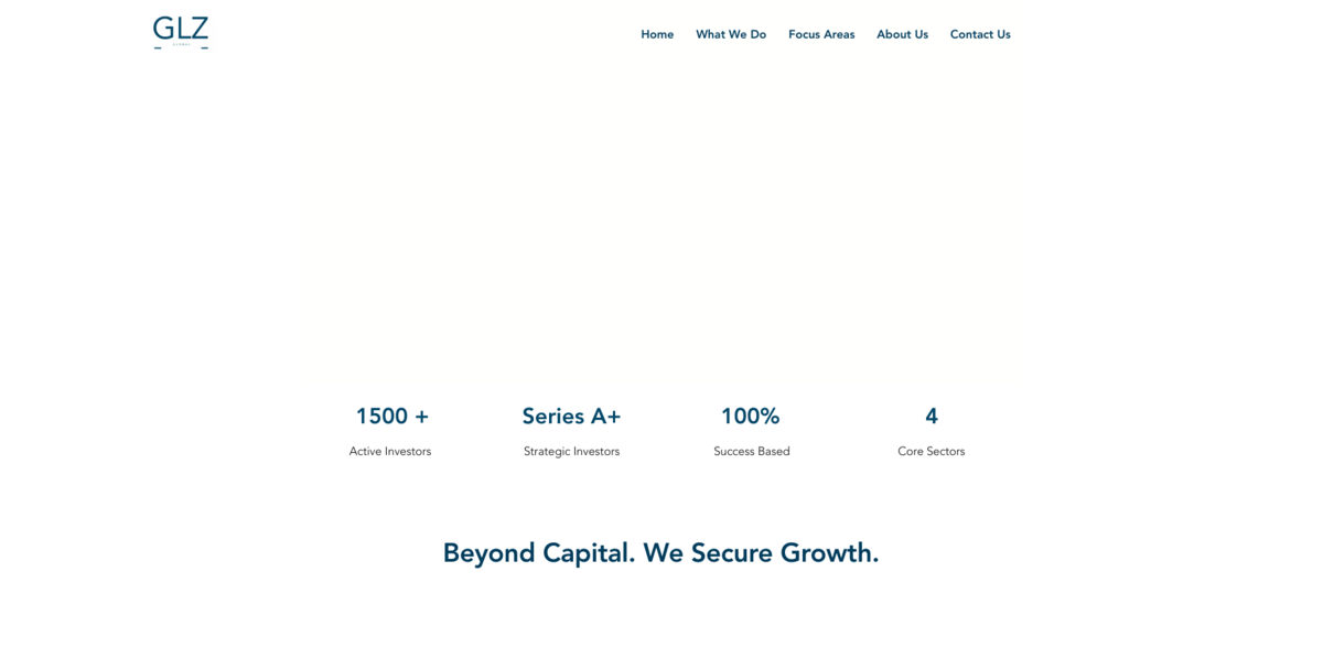 GLZ Global Consulting fundraising