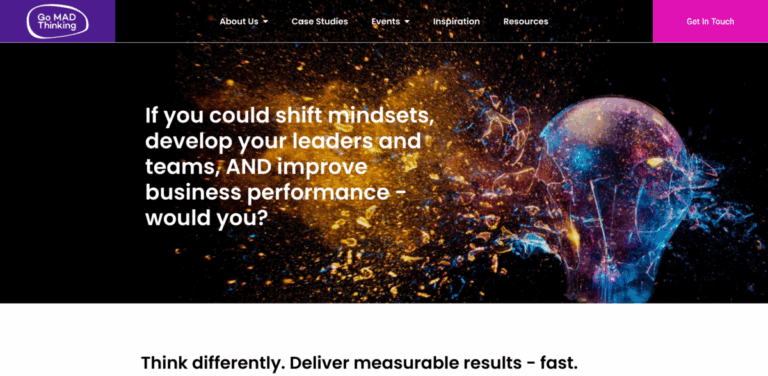 Go Mad Thinking: Transforming Leadership and Team Performance for Measurable Results
