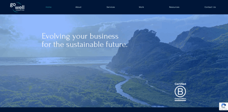 Go Well Consulting: Empowering Businesses for Sustainable Futures