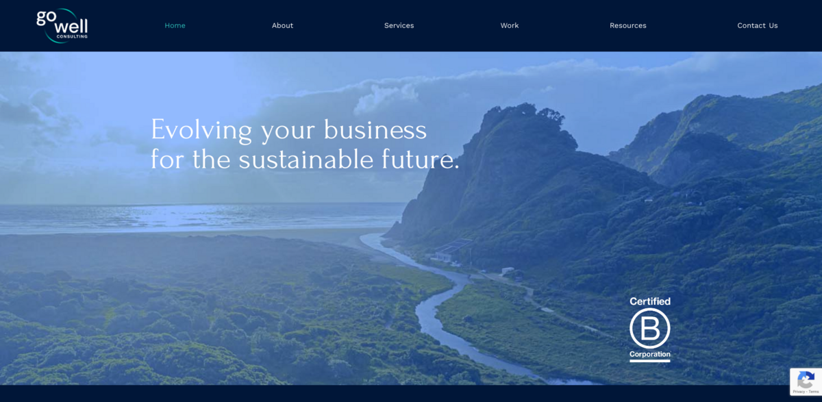sustainable business consulting