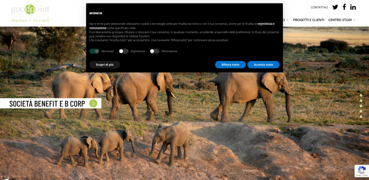 GoodPoint sustainability