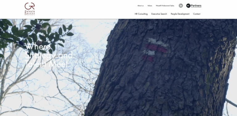 GR & Partners: Expert Executive Recruitment and HR Consulting