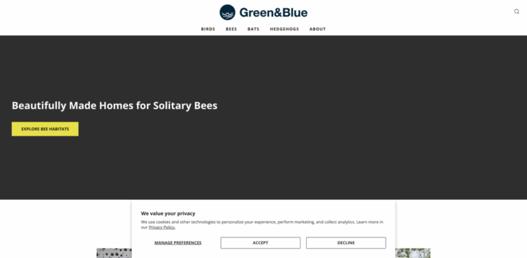 Green&Blue: Creating Beautiful Homes for Solitary Bees