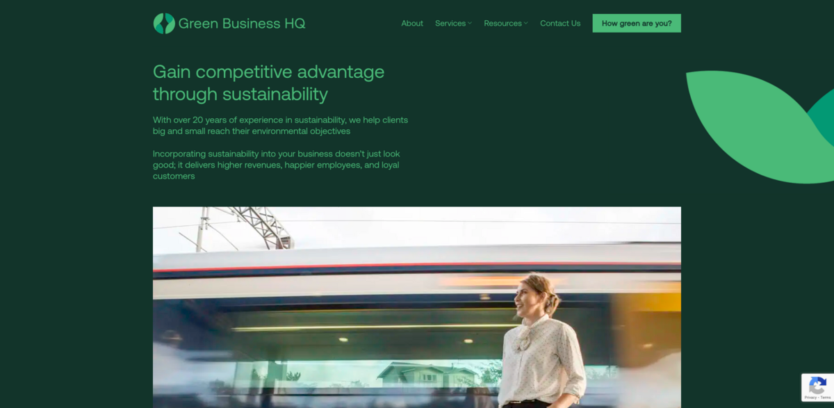 sustainability consultancy