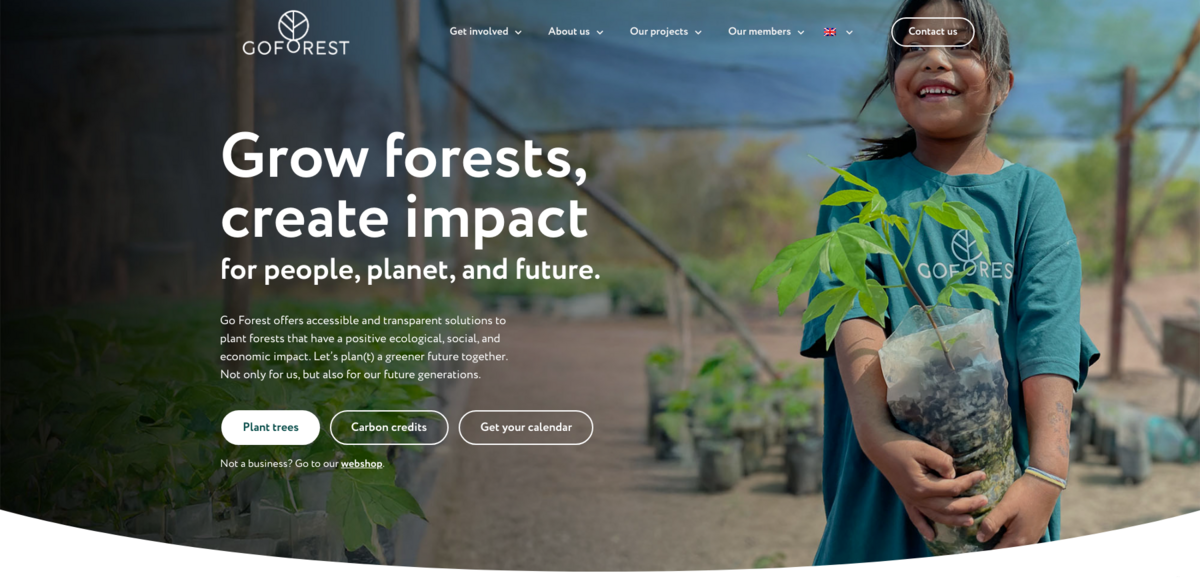 sustainable reforestation