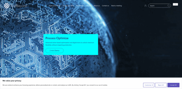 GridBeyond: Transforming Energy Management for a Sustainable Future
