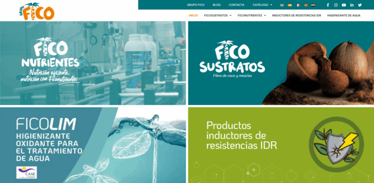 Grupo Fico: Your Partner in Sustainable Agricultural Solutions