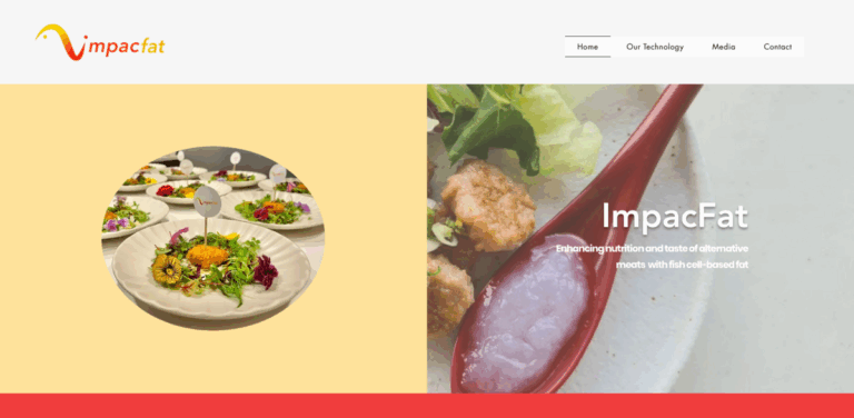 ImpacFat: Enhancing Alternative Meats with Sustainable Fish Fat