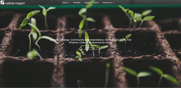 Impact Ventures: Transforming Systems for Climate Solutions and Fair Finance