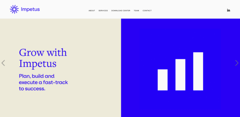 Impetus: Driving Sustainable Growth Through Expert Consulting