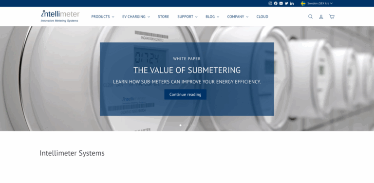 Intellimeter Canada Inc.: Smart Sub-Metering Solutions for Energy Management