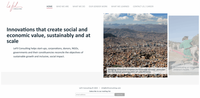 LeFil Consulting: Driving Sustainable Growth and Social Impact
