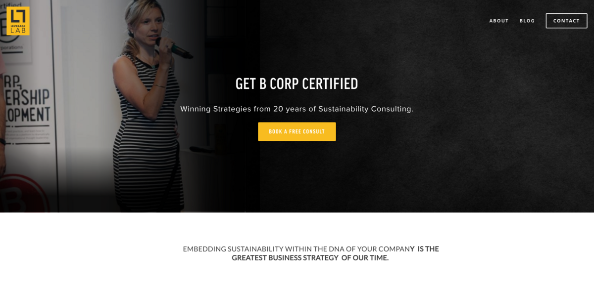B Corp certification consulting